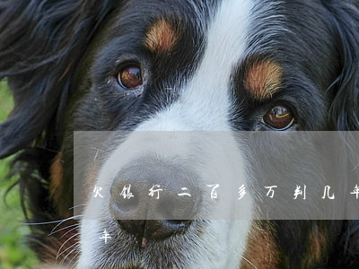 欠银行二百多万判几年(欠银行二百多万判几年)