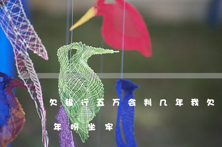 欠银行五万会判几年(我欠银行5万块钱判几年呀坐牢)