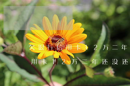 欠银行信用卡12万二年还没还-欠银行信用卡12万二年还没还怎么办