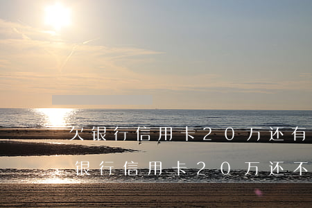 欠银行信用卡20万还有翻身的机会吗-欠银行信用卡20万还不上会怎么样