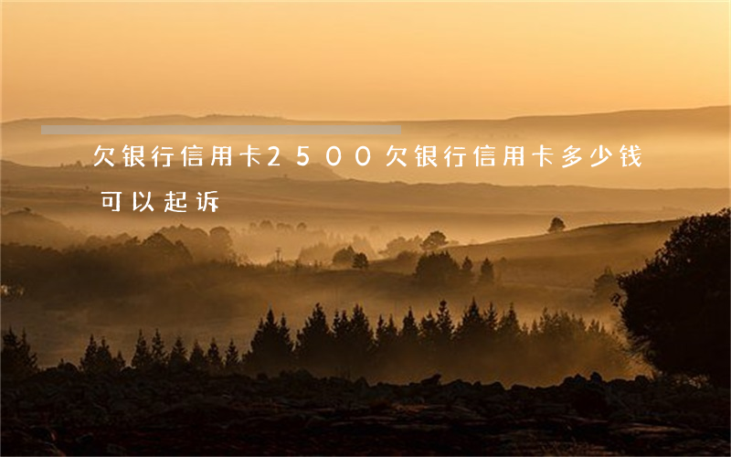 欠银行信用卡2500(欠银行信用卡多少钱可以起诉)