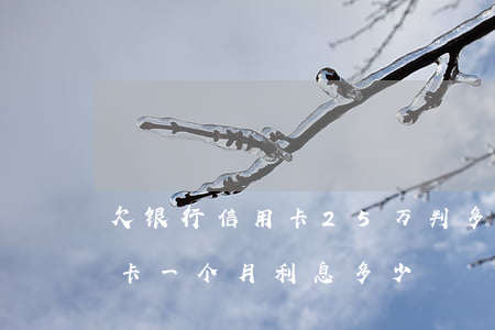 欠银行信用卡25万判多少年(欠25万信用卡一个月利息多少)