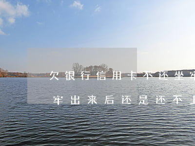 欠银行信用卡不还坐牢出来(如果欠信用卡坐牢出来后还是还不上怎么办)