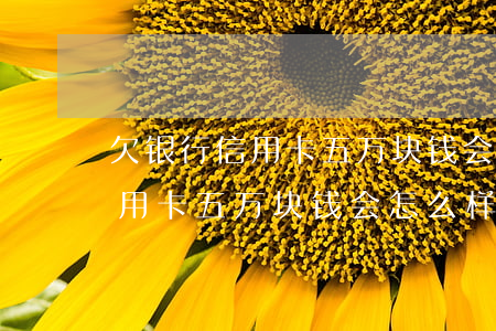欠银行信用卡五万块钱会怎么样-欠银行信用卡五万块钱会怎么样吗