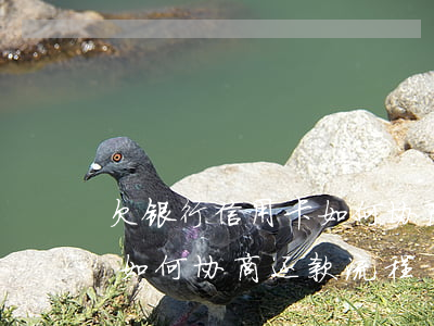 欠银行信用卡如何协商还款-欠银行信用卡如何协商还款流程