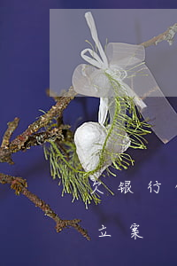 欠银行信用卡已经立案-欠银行信用卡已经立案