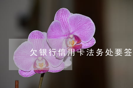 欠银行信用卡法务处要签字