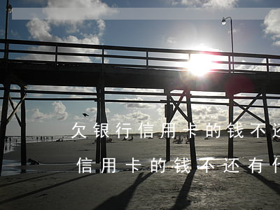 欠银行信用卡的钱不还有什么后果-欠银行信用卡的钱不还有什么后果呢