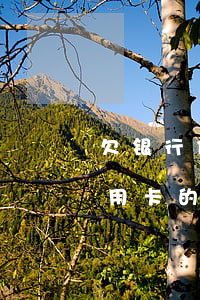 欠银行信用卡的钱能协商还款吗-欠银行信用卡的钱能协商还款吗怎么还