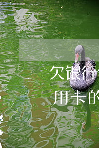 欠银行信用卡的钱还不起怎么办(欠了银行信用卡的钱还不起了怎么办)