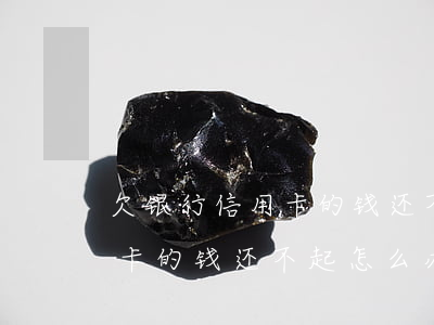 欠银行信用卡的钱还不起怎么办(欠银行信用卡的钱还不起怎么办)