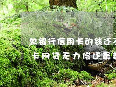 欠银行信用卡的钱还不起最坏的后果-信用卡网贷无力偿还最新规定