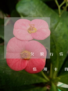 欠银行信用卡的钱银行会找上门吗-欠银行信用卡的钱银行会找上门吗知乎