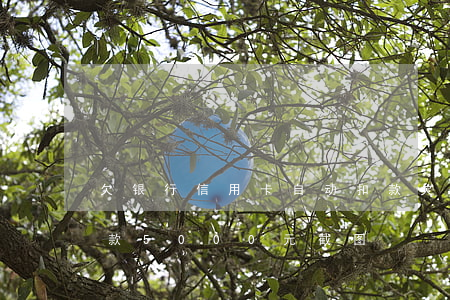 欠银行信用卡自动扣款(欠银行信用卡自动扣款5000元截图)