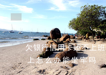 欠银行信用卡还不上班-欠银行信用卡还不上怎么办,能坐牢吗