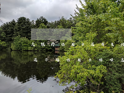 欠银行信用卡还有支付宝借呗还不上怎么办（还不起信用卡借呗怎么办）