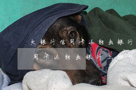 欠银行信用卡还能去银行上班吗-欠银行信用卡还能去银行上班吗知乎