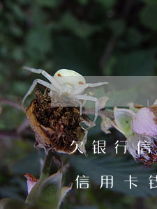 欠银行信用卡钱不还会影响子女吗-欠银行信用卡钱不还会影响子女吗知乎