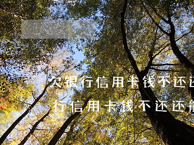 欠银行信用卡钱不还还能用储蓄卡吗-欠银行信用卡钱不还还能用储蓄卡吗安全吗