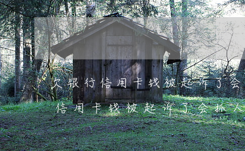 欠银行信用卡钱被起诉了会抓人吗-欠银行信用卡钱被起诉了会抓人吗知乎