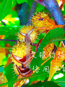 欠银行信用卡钱还能买五险一金吗-欠银行信用卡钱还能买五险一金吗知乎