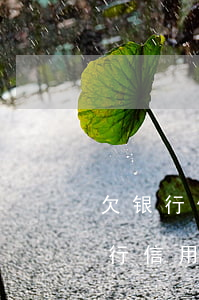 欠银行信用贷款30万还不上怎么办-欠银行信用贷款30万还不上怎么办呢