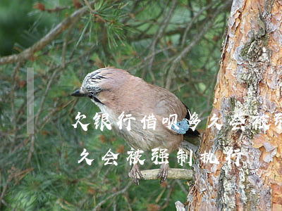 欠银行借呗多久会被强制执行(欠银行借呗多久会被强制执行)