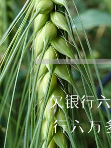欠银行六万多贷款被起诉后果会怎样-欠银行六万多贷款被起诉后果会怎样呢
