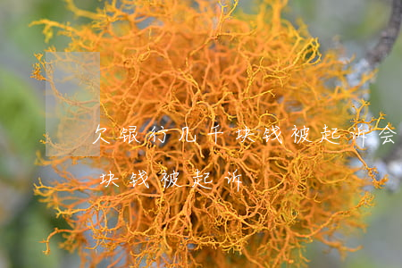 欠银行几千块钱被起诉会怎么样（欠银行几千块钱被起诉）
