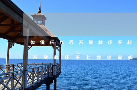 欠银行几百万贷款还不起怎么办（欠银行几百万贷款还不上会坐牢吗）