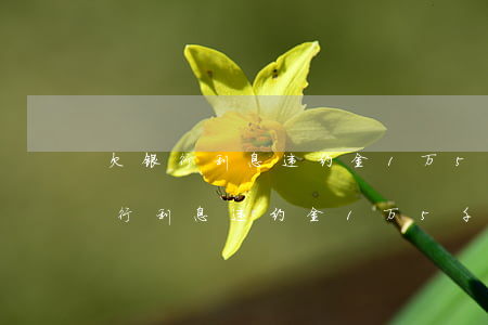 欠银行利息违约金1万5千定罪标准-欠银行利息违约金1万5千定罪标准是多少