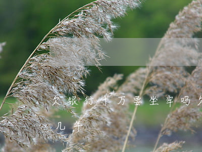 欠银行十万要坐牢吗(欠银行10几万要判刑几年)