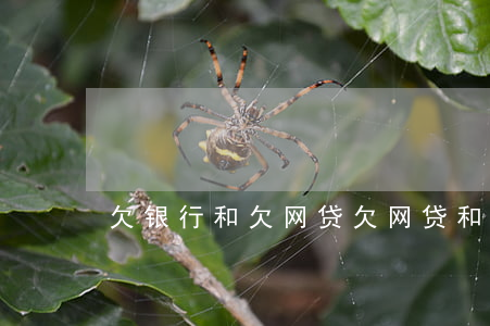 欠银行和欠网贷(欠网贷和银行有关系吗)