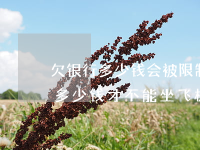 欠银行多少钱会被限制坐飞机高铁-欠银行多少钱才不能坐飞机火车