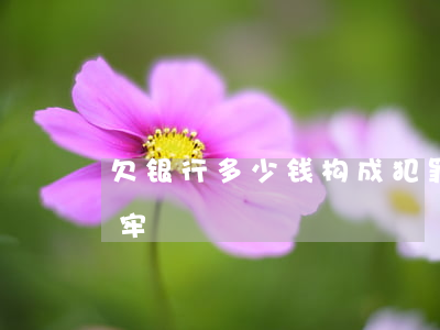 欠银行多少钱构成犯罪（欠银行多少钱才要坐牢）