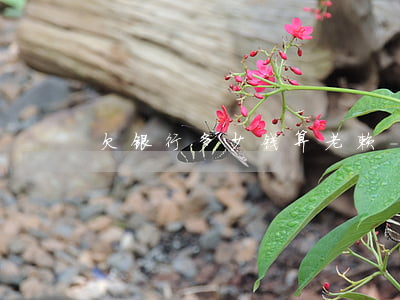 欠银行多少钱算老赖-欠银行钱算老赖吗