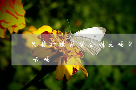 欠银行微粒贷会划走吗(欠微粒贷会冻结银行卡吗)