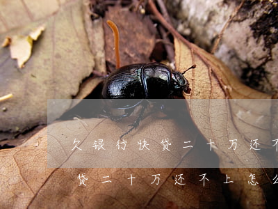 欠银行快贷二十万还不上怎么办-欠银行快贷二十万还不上怎么办呢
