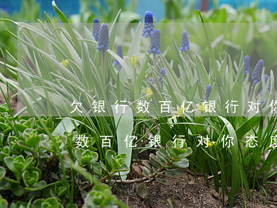 欠银行数百亿银行对你态度怎么样-欠银行数百亿银行对你态度怎么样呢