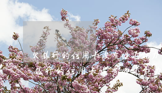 欠银行的信用卡没有偿还能力了怎么办-欠银行的信用卡没有偿还能力了怎么办呢