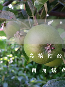欠银行的短信费不交怎么办冻平果能吃吗-因为银行短信欠费冻结