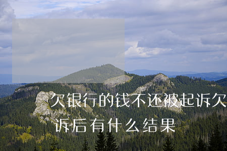 欠银行的钱不还被起诉(欠银行的钱不还被起诉后有什么结果)