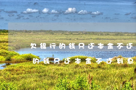 欠银行的钱只还本金不还利息行吗-欠银行的钱只还本金,不还利息可以吗