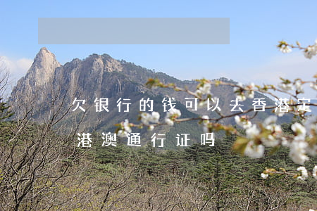 欠银行的钱可以去香港定居吗(欠银行钱能办港澳通行证吗)