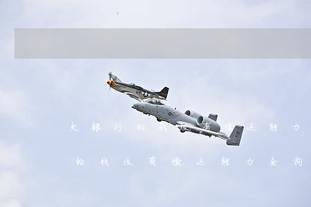 欠银行的钱没有偿还能力会拘留吗-欠银行的钱没有偿还能力会拘留吗知乎