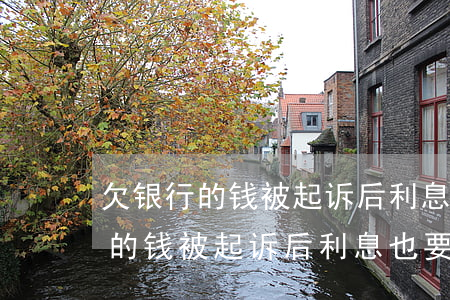 欠银行的钱被起诉后利息也要还吗-欠银行的钱被起诉后利息也要还吗怎么办