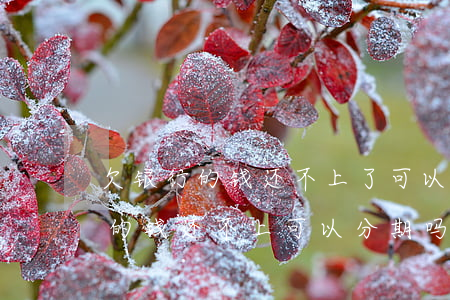 欠银行的钱还不上了可以分期多久-欠银行的钱还不上可以分期吗