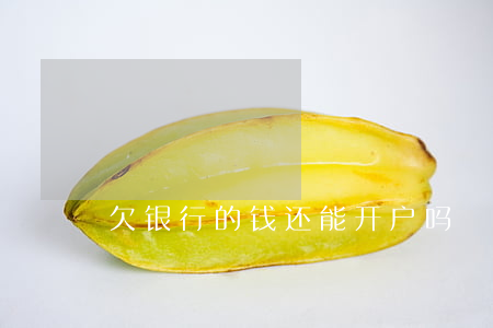 欠银行的钱还能开户吗