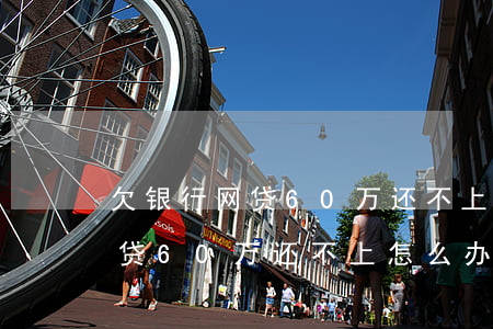 欠银行网贷60万还不上怎么办-欠银行网贷60万还不上怎么办呢