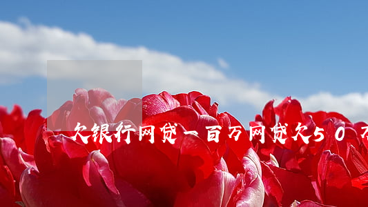 欠银行网贷一百万(网贷欠50万)